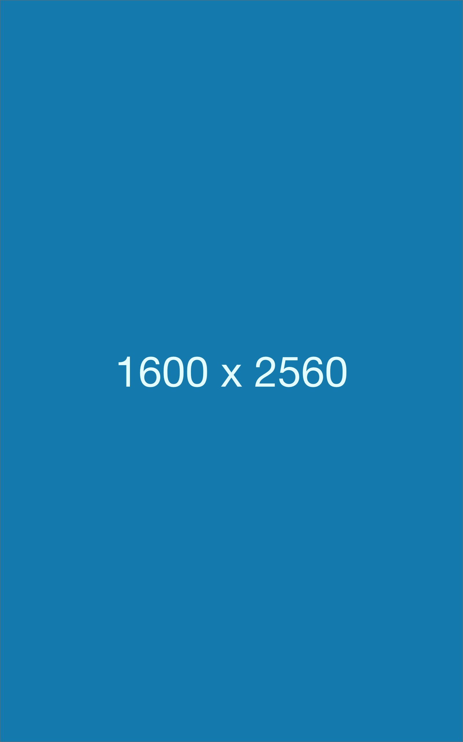 DY 02090616